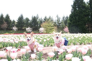 20180507 5.jpg