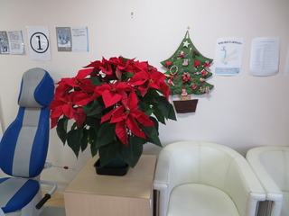 IMG_1687.JPG
