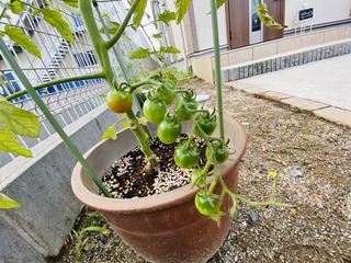 IMG_9983.jpg