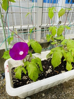 IMG_9984.jpg